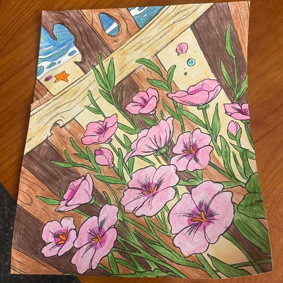 Gorgeous Picture of Pink Evening Primroses - Picture 1 of 1